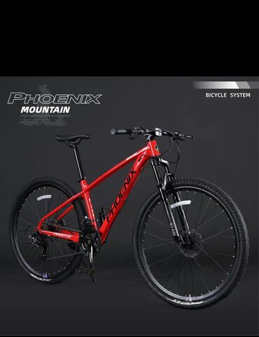 phoenix: Велосипед Phoenix для горных велосипедов для мужчин и женщин с