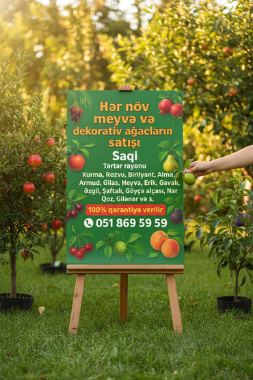 Tinglər: Meyvə və dekorativ ağac tingləri Təsvir: - Tərtər rayonu ərazisində — 3