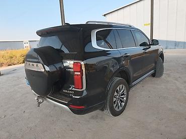 reno stepway: Tank 500: 2023 г., 2 л, Автомат, Гибрид, Внедорожник — 3