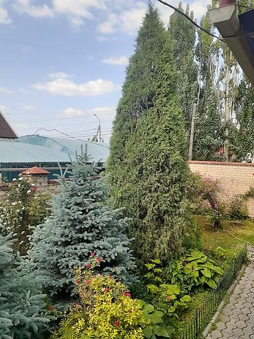 Продажа коттеджей и домов: Продается дом на первой линии по ул. Садырбаева /ул. Ахунбаева — 8