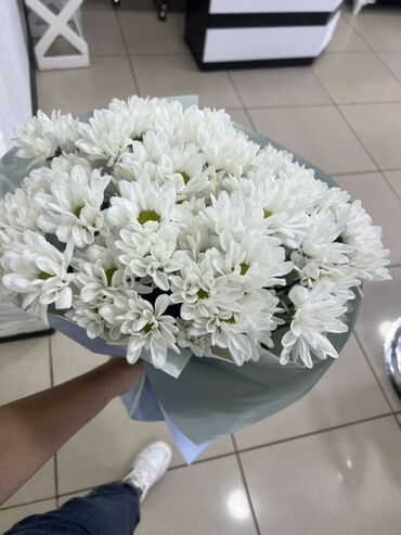 пионы продаю: Изящный букет из белых хризантем, упакованный в нежно-голубую бумагу