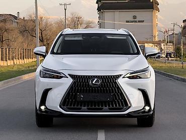 спойлер нехсия: Lexus NX: 2023 г., 2.5 л, Автомат, Кроссовер — 5