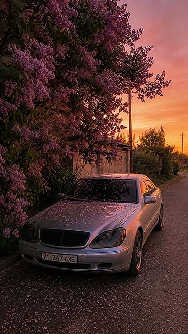 mersedes e class: Mercedes-Benz S-Class: 2000 г., 3.2 л, Бензин, Седан — 3