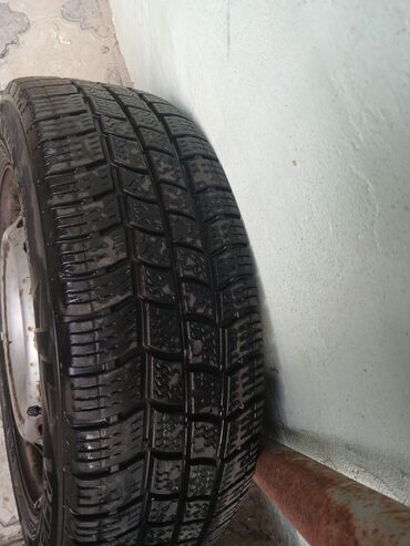 Disklər: Şin Continental 195 / 65 / R 16