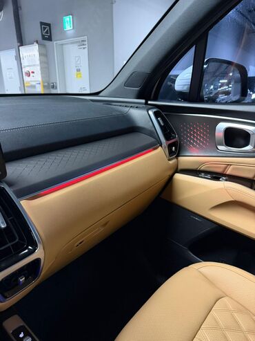 Kia: Kia Sorento: 2020 г., 2.2 л, Дизель — 12