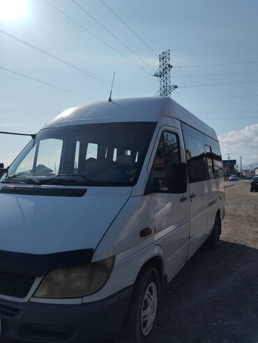 Mercedes-Benz: Mercedes-Benz Sprinter: 2003 г., 2.9 л, Механика, Дизель, Бус