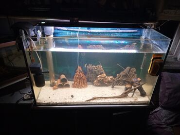 Akvariumlar: Akvaryum komplekti – şkaflı, sump filtrasiyalı - Şəffaf ön və yan — 4