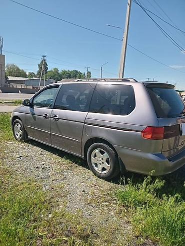 аддисей: Honda Odyssey: 1999 г., 3.5 л, Автомат, Бензин, Минивэн — 3