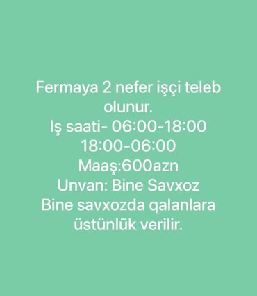 i̇şçi tələb olunur: 2 nefer isci teleb olunur tecili