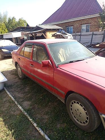 Mercedes-Benz W124: 1986 г., Седан