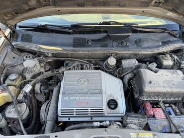 Lexus: Lexus RX: 1999 г., 3 л, Автомат, Бензин, Кроссовер — 17