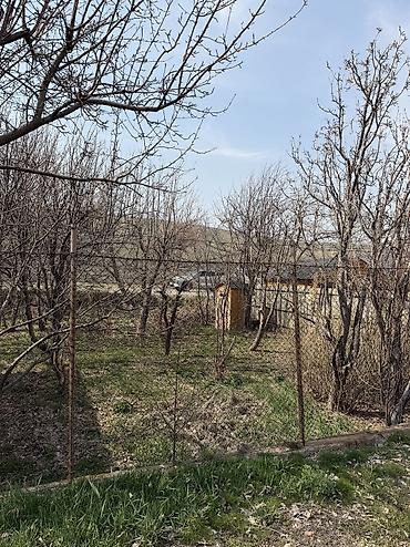 мин булак: Продаю две дачи по 4 сотки ( 8 соток общая площадь) в селе Кашка Суу — 5
