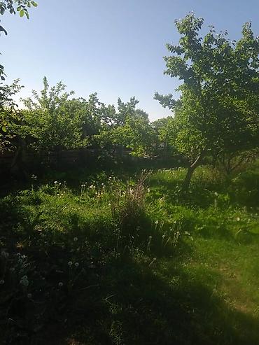 Продажа участков: 194 соток, Для бизнеса, Красная книга — 5