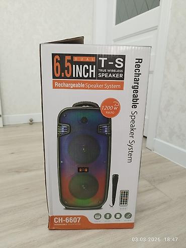 ace pro: Портативная акустическая система T-S CH-6607 - Диаметр динамиков: 2 × — 1