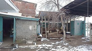 ассистент из комнаты общежития: 6 комнат и более, 120 м², 12 соток, Константиновка, Собственник — 6