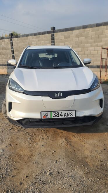 джетур х70 цена: Weltmeister EX5, 2020 г.