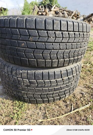 маз шина: Шины 225 / 50 / R 17, Зима, Пара, Легковые, Dunlop