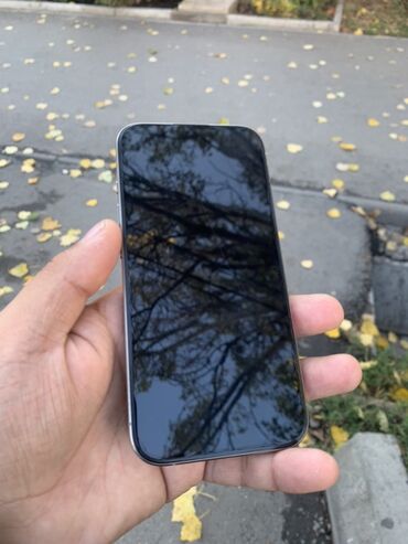 микрофон купить: IPhone 15 Pro, Natural Titanium