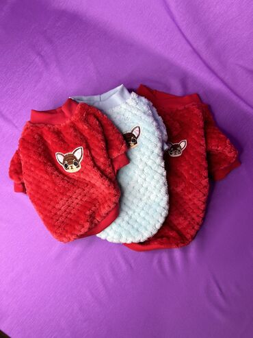 Зоотовары: Одежда для кошек и собак. Все НОВОЕ РАЗМЕР И ЦЕНА УКАЗАНЫ НА ФОТО at lalafo.kg — 28 Зоотовары: Одежда для кошек и собак. Все НОВОЕ РАЗМЕР И ЦЕНА УКАЗАНЫ НА ФОТО — 28