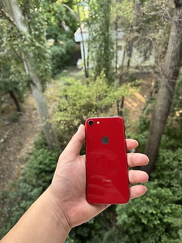 Apple iPhone: IPhone 8, Б/у, 64 ГБ, Красный, 100 % — 4
