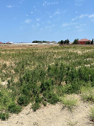 keslede: 5 sot, Mülkiyyətçi, Kupça (Çıxarış) — 2