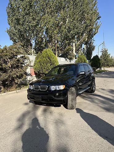 Продажа авто: BMW X5: 2002 г., 4.4 л, Автомат, Бензин, Кроссовер — 3