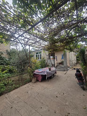 imisli ev elanlari: Binə sovxozda, 160 nömrəli avtobusun son dayanacağına yaxın ərazidə — 5