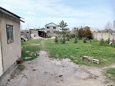 макс: 8 соток, Для строительства, Красная книга, Тех паспорт — 2