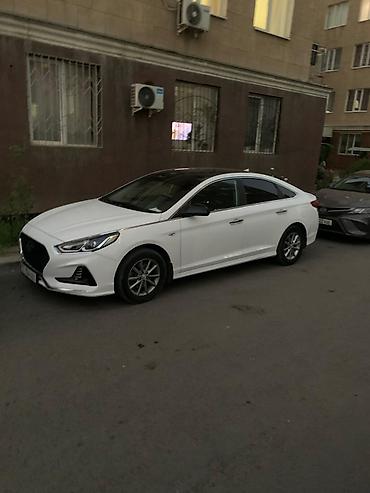 шторка соната: Hyundai Sonata: 2021 г., 2 л, Автомат, Газ, Седан — 1