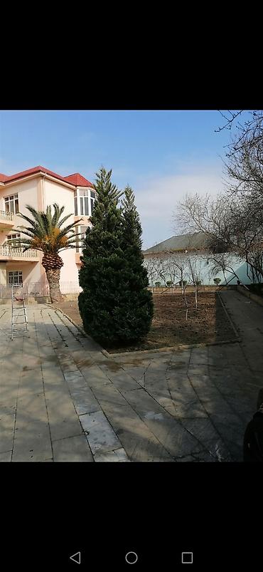landşaft dizayn: Salam aleykum Adim Sahib 44yaşim var Bakida yaşayiram Gündelik olaraq — 3