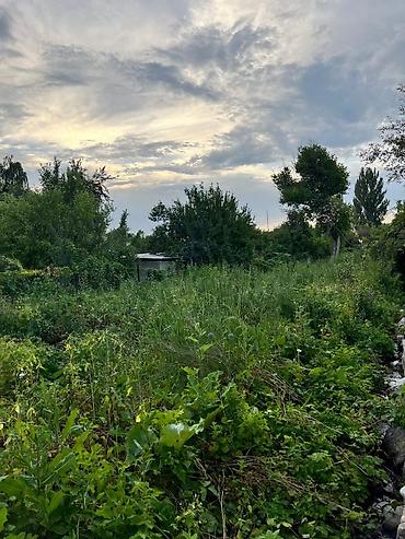 россрочка: 5 соток, Красная книга — 2