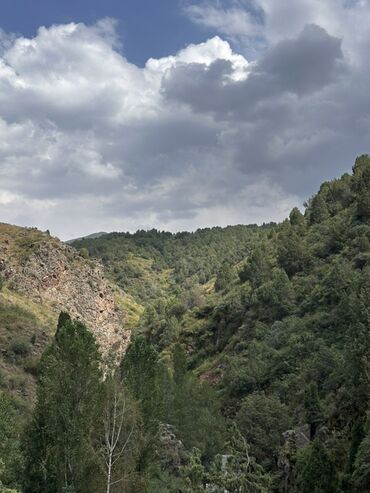 Apple iPhone: IPhone 14 Pro Max, Б/у, 512 ГБ, Белый, Коробка, 93 % — 11