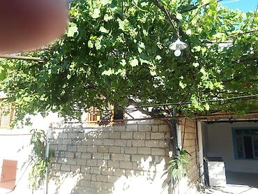 Həyət evləri və villaların satışı: Tecili satilir. Heyetde. 2 ev var — 10