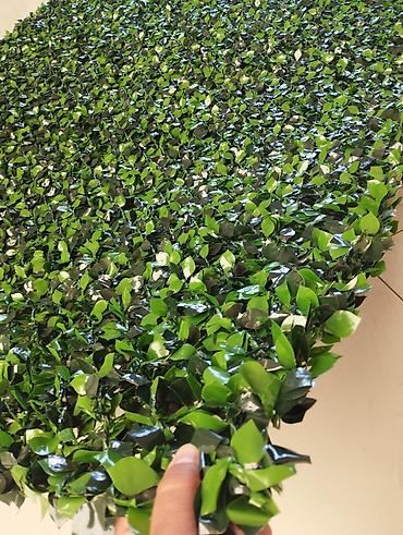 suni qazon qiyməti: 🌿 Süni Çəpər – Təbii Gözəlliyin Süni Həlli! 🌿 📏 Eni 1.00 metr olur 📏 — 6