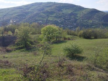 Каменная вата: 30 соток, Для сельского хозяйства, Купчая