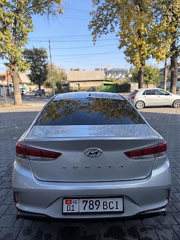 byd dolphin 2023: Hyundai Sonata: 2019 г., 2 л, Автомат, Газ, Седан — 3