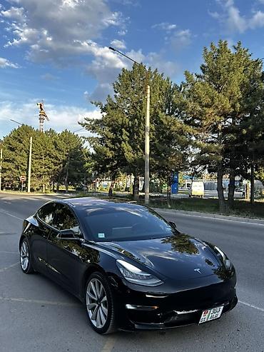 byd e6: Tesla Model 3: 2019 г., Электромобиль, Лифтбек — 5