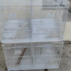 попугай ара цена: Salam Hər vaxtiniz Xeyirli olsun qəfəslərdə yuva yerləri