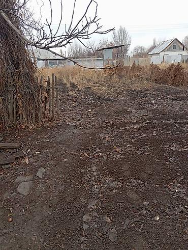 Шлакоблок: Дом из шлакоблока с односкатной крышей из волнистых листов. Стены — 7