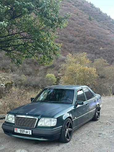 Mercedes-Benz W124: 1995 г., 3.2 л, Автомат, Бензин, Седан