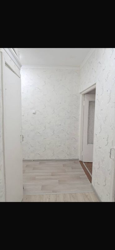 квартира кырман: 2 бөлмө, Риелтор, Чогуу жашоосу жок