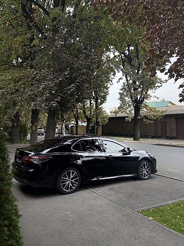 toyota camry 80 цена бишкек: Toyota Camry: 2022 г., 2.5 л, Гибрид, Седан — 3