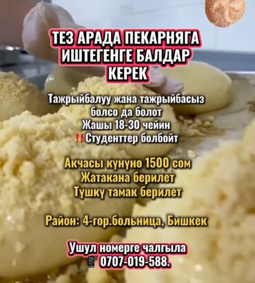 работа для студентов официант: Талап кылынат Нан бышыруучу, Төлөм Күнүмдүк, Тажрыйбасыз