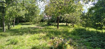 Torpaq sahələrinin satışı: 10 sot, Tikinti, Mülkiyyətçi, Kupça (Çıxarış) — 19