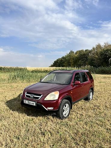 audi а8: Honda CR-V: 2002 г., 2 л, Автомат, Бензин, Кроссовер — 2