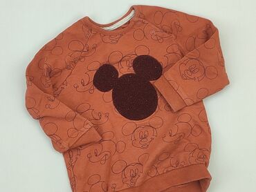 rajstopy brazowe: Bluza, 6-9 m, stan - Bardzo dobry