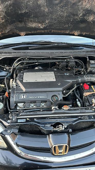 Honda: Honda Odyssey: 2003 г., 3 л, Автомат, Бензин, Минивэн — 12