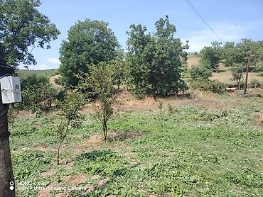cıxarış nədir: 15 sot, Tikinti, Mülkiyyətçi, Kupça (Çıxarış) — 2