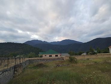 kənd: 24 sot, Biznes üçün, Maklerlər narahat etməsin, Kupça (Çıxarış) — 10