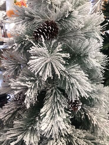 Yeni il ağacları: Yolka satisi teze mallar endirimde Yeni il agaci Diger olculerde var — 11